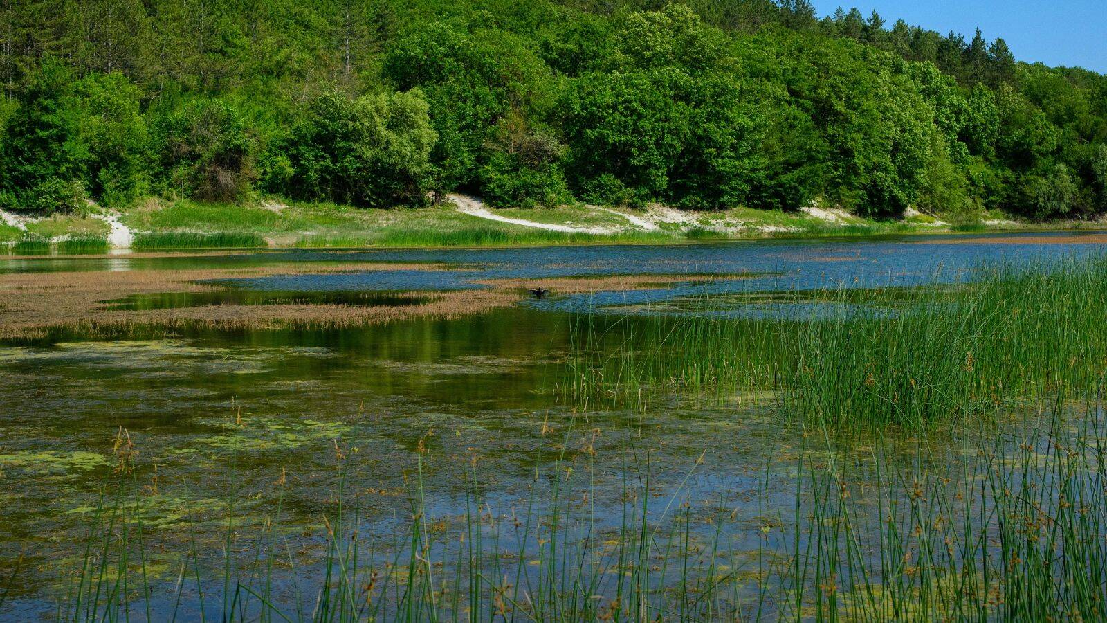 reserve-naturelle-empuries